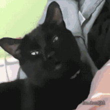 Sneeze Meow GIF - Sneeze Meow Cat GIFs