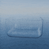 a clear glass container with the words berry on it