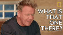 What Is That One There Gordon Ramsay GIF - What Is That One There Gordon Ramsay Gordon Ramsay Uncharted GIFs