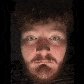 a man with curly hair and a beard looks at the camera