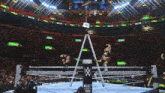 two wrestlers are in a wrestling ring with a sign that says wrestling for a cure