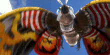 a moth with red and white stripes on its wings is flying in the sky
