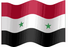 syria flag wave flag