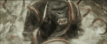 King Kong Kong Skull Island GIF - King Kong Kong Skull Island Mire Squid GIFs