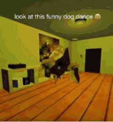 Dog Markiplier GIF - Dog Markiplier Dancing GIFs