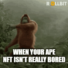 Nft Bored Ape GIF - Nft Bored Ape Rollbit GIFs