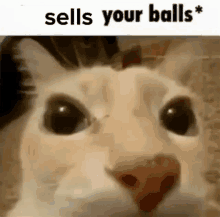 Sell Your Balls GIF