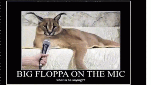 cats floppa cat Memes & GIFs - Imgflip