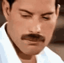 Freddie Freddie Mercury GIF