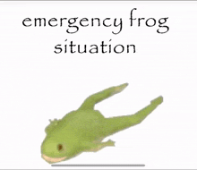 Matt Ross Emergancy Frog Situation GIF