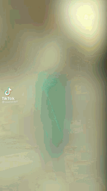 a blurry picture of a woman with tiktok written on the bottom right corner