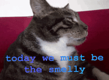 Today We Must Be The Smelly Stinky GIF - Today We Must Be The Smelly Smelly Stinky GIFs