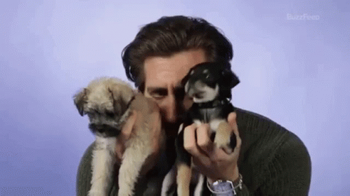 Leo - Spreading death Jake-gyllenhaal-puppies