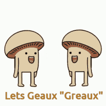 Leats Geaux Greaux GIF - Leats Geaux Greaux Jump GIFs