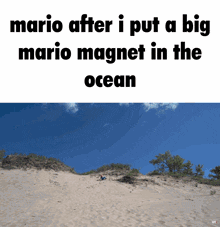 Super Mario Magnet GIF - Super Mario Magnet Shitpost GIFs