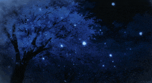 a tree with blue leaves is lit up in the dark