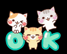 Cat Sticker Ok Sticker GIF - Cat Sticker Ok Sticker Okay Sticker GIFs