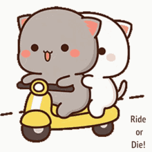 Ride Or Die Rollin GIF - Ride Or Die Rollin Thug Life GIFs