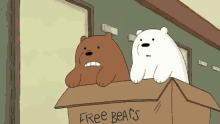 We Bare Bear Ice Bear GIF - We Bare Bear Ice Bear Yikes GIFs