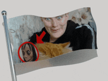a waving flag with a picture of a man and a cat on it