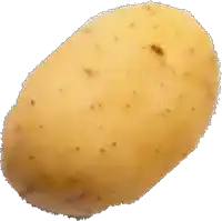 a potato on a white background with a few small brown spots