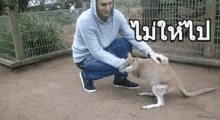 a man is kneeling down to petting a kangaroo in a zoo .
