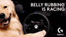puppy racer