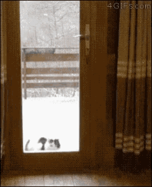 Dog Opens GIF - Dog Opens Door GIFs