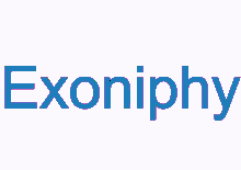 exon exoniphy dogeiphy animated text changing colors