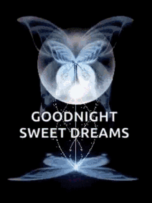 Butterfly Good Night GIF - Butterfly Good Night Sweet Dreams GIFs