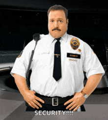 a security guard with his hands on his hips says security
