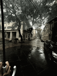 a person is holding an umbrella in the rain