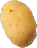 a close up of a potato with spots on it