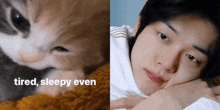 Yeonjun Cat Sleepy GIF - Yeonjun Cat Sleepy GIFs