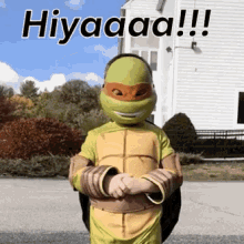 Hiyaaa Karate GIF - Hiyaaa Karate Ninja Turtle GIFs
