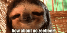How About No How About No Zeebeer GIF - How About No How About No Zeebeer Sloth GIFs