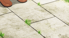 two cans of pringles chips are laying on the ground