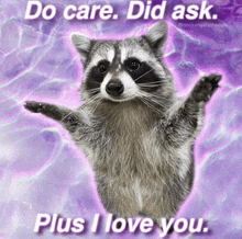 a raccoon with its arms outstretched and the words do care did ask plus i love you