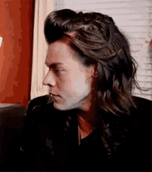 Harry Styles GIF - Harry Styles Surprised GIFs