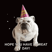 Birthday Bulldog GIF - Birthday Bulldog Des Moines GIFs
