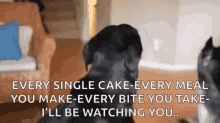 Hungry Dog Ill Be Watching You GIF - Hungry Dog Ill Be Watching You GIFs