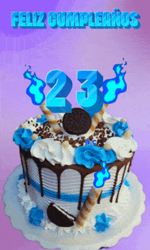 a cake with the number 23 on top of it