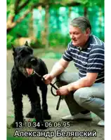 a man is kneeling down next to a large black dog with the date 13.10.31 on the bottom