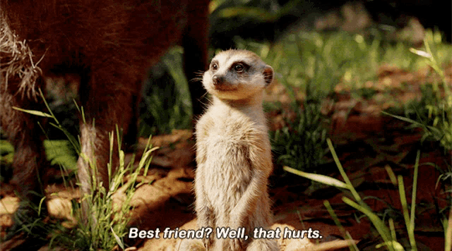 The Lion King Timon GIF - The Lion King Timon Best Friend - Discover &  Share GIFs