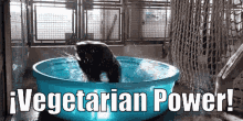 Vegetarian Power GIF - Vegetarian Power Vegan GIFs