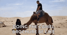 sahara desert camel fall oops