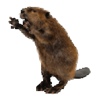 a pixelated image of a beaver standing on its hind legs with its mouth open