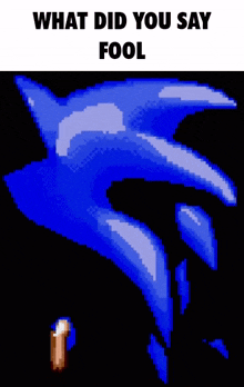a pixel art of sonic the hedgehog with the words what did you say fool