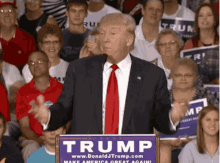 Trump Excited GIF - Trump Excited Lets GIFs