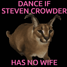 steven crowder mywifeleftme stevencrowder dance